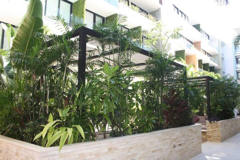 Your Exclusive Studio In The City - Top Amenities & Services For Free!! Плая дел Кармен Екстериор снимка